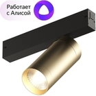 Трековый светильник однофазный Smart Spot DK8020-BG