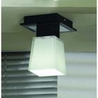 Потолочный светильник накладной прямоугольный Lente LSC-2507-01