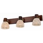 Спот Shayla TL3730Y-03BB