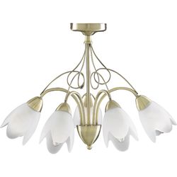 Потолочная люстра Artelamp A4900PL-5AB