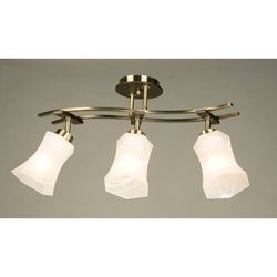 Потолочная люстра Citilux CL142133