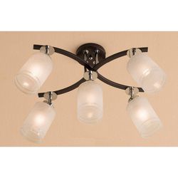 Потолочная люстра Citilux CL156151