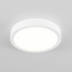 Потолочный светильник Citilux Галс CL5522N