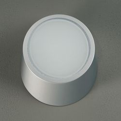 Потолочный светильник настенно-потолочный Openeye Openeye W1 metal