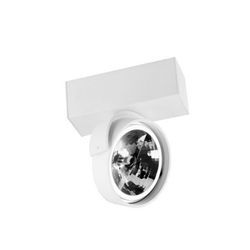 Потолочный светильник настенно-потолочный DL18407/11WW-White