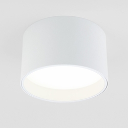 Накладной светильник светодиодный Banti 25123/LED 13W белый