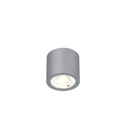Накладной светильник светодиодный Deorsum 2808-1C