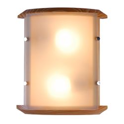 Настенный светильник Globo 41308-2