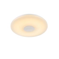 Настенно-потолочный светодиодный светильник Felion 41327