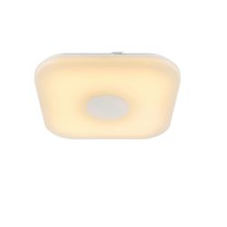 Настенно-потолочный светодиодный светильник Felion 41328