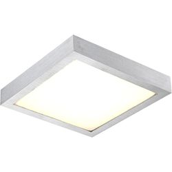 Настенно-потолочный светодиодный светильник Globo 41660