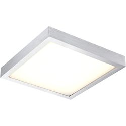 Настенно-потолочный светодиодный светильник Globo 41661