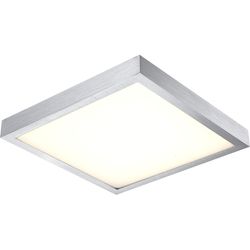 Настенно-потолочный светодиодный светильник Globo 41662