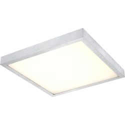 Настенно-потолочный светодиодный светильник Globo 41663