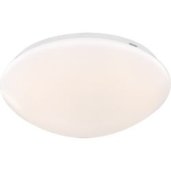 Настенно-потолочный светодиодный светильник Globo 41671