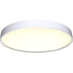 Настенно-потолочный светильник Lowell 41680