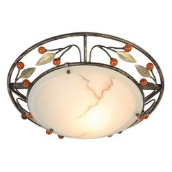 Потолочный светильник накладной круглый Savanna 44130-1