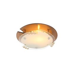 Потолочный светильник настенно-потолочный Armena 48083