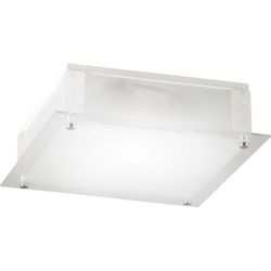 Потолочный светильник накладной прямоугольный Quadro 48320