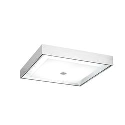 Потолочный светильник накладной прямоугольный Lotus 49933