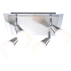 Спот Frank 5450-4