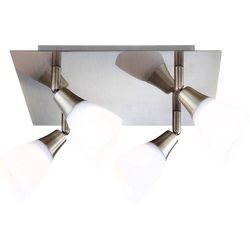 Спот Frank 5451-4