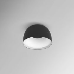 Настенно-потолочный светильник светодиодный BRIM01