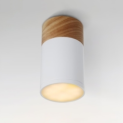 Точечный светильник светодиодный WOODL01