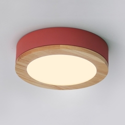 Потолочный светильник светодиодный WUDDA01