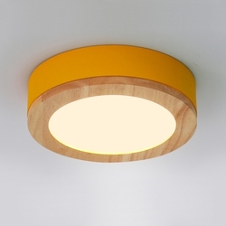 Потолочный светильник светодиодный WUDDA01