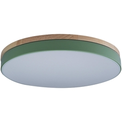 Потолочный светильник светодиодный Axel 10001/36 Green