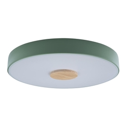 Потолочный светильник светодиодный Axel 10003/24 Green
