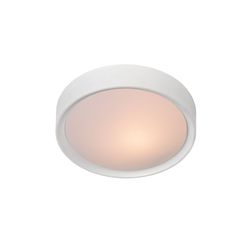 Потолочный светильник настенно-потолочный Lex 08109/01/31