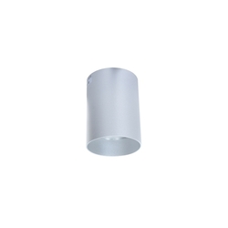 Накладной светильник Flixton LDC 8053-A SS-D85*H115 SL