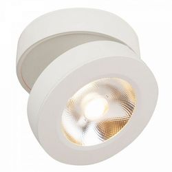 Накладной светодиодный светильник Alivar C022CL-L12W