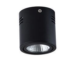 Потолочный светодиодный светильник накладной Kruz 637014201