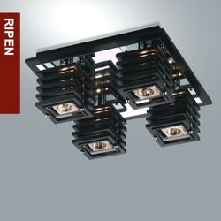 Потолочный светильник накладной прямоугольный Ripen 1251/4C