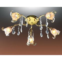 Потолочная люстра Odeon Light 1289/5