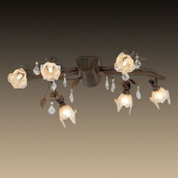 Потолочная люстра Odeon Light 1367/6A