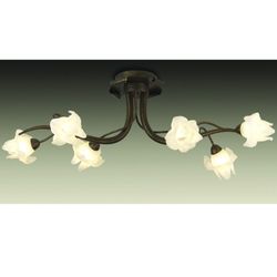 Потолочная люстра Odeon Light 1372/6