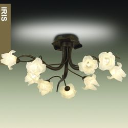 Потолочная люстра Odeon Light 1372/9