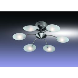 Потолочная люстра Odeon Light 1376/6