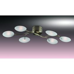 Потолочная люстра Odeon Light 1377/6C