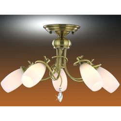 Потолочная люстра Odeon Light 1426/5