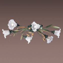 Потолочная люстра Odeon Light 1434/6C