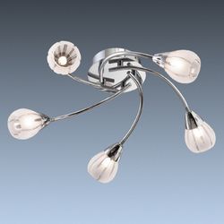 Потолочная люстра Odeon Light 1613/5C