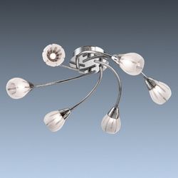 Потолочная люстра Odeon Light 1613/6C