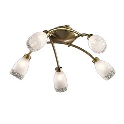 Потолочная люстра Odeon Light 1803/5C