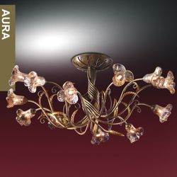 Потолочная люстра Odeon Light 1814/12