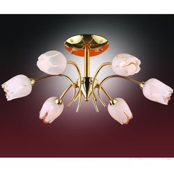 Потолочная люстра Odeon Light 1815/6
